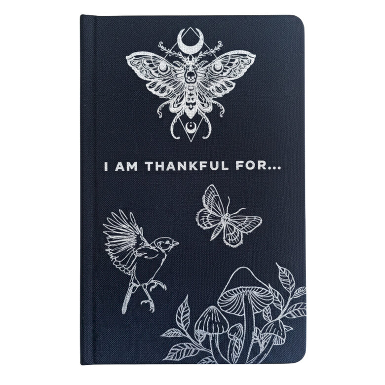 Black & Silver Gratitude Journal- 120 pages - I am Thankful For